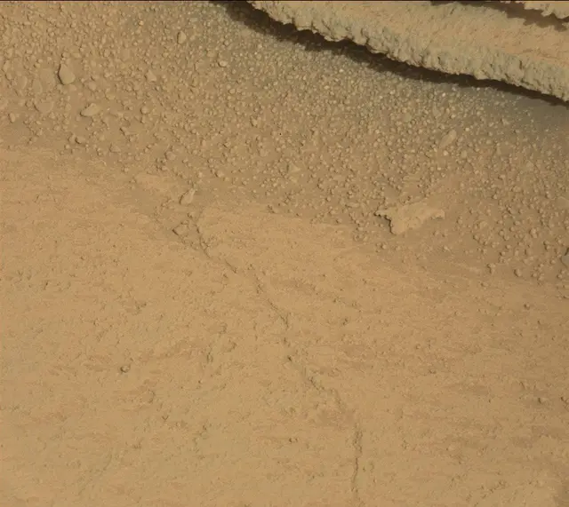 Sol 313: Mast Camera (Mastcam)