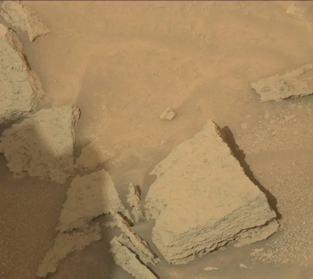 Sol 313: Mast Camera (Mastcam)