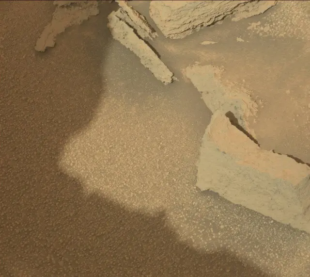 Sol 313: Mast Camera (Mastcam)