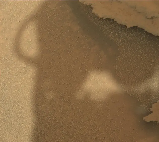 Sol 313: Mast Camera (Mastcam)
