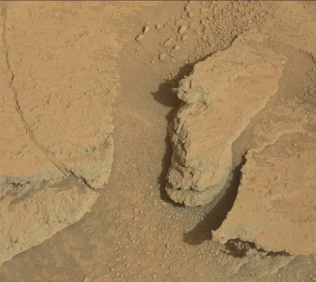 Sol 313: Mast Camera (Mastcam)