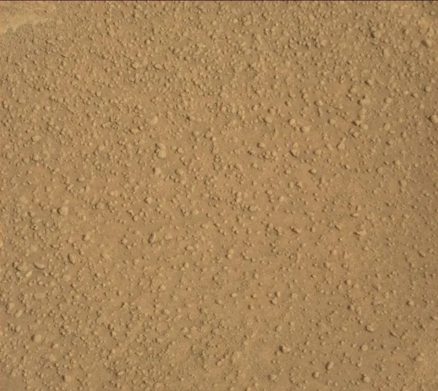 Sol 313: Mast Camera (Mastcam)