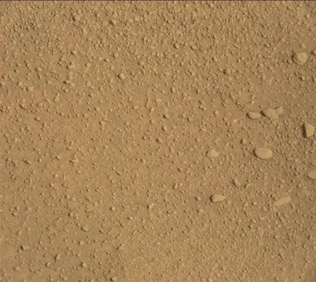 Sol 313: Mast Camera (Mastcam)