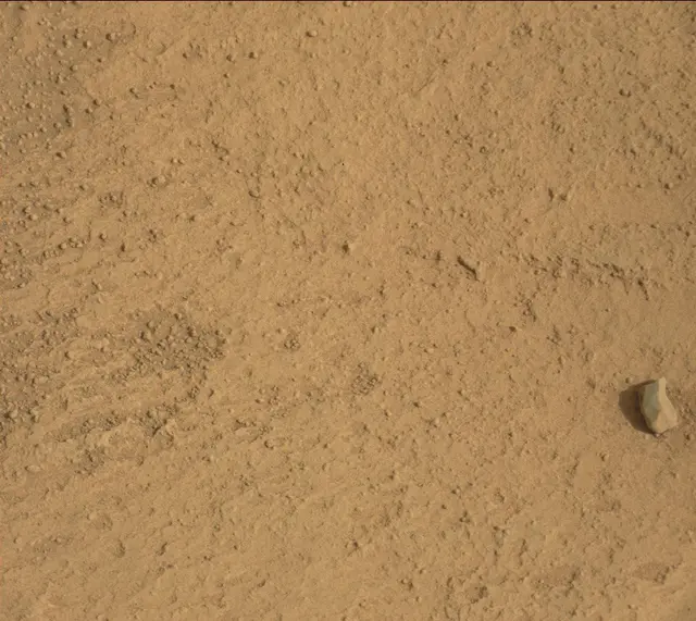 Sol 313: Mast Camera (Mastcam)