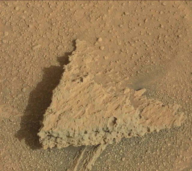 Sol 313: Mast Camera (Mastcam)