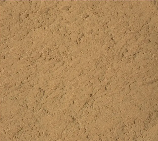 Sol 313: Mast Camera (Mastcam)