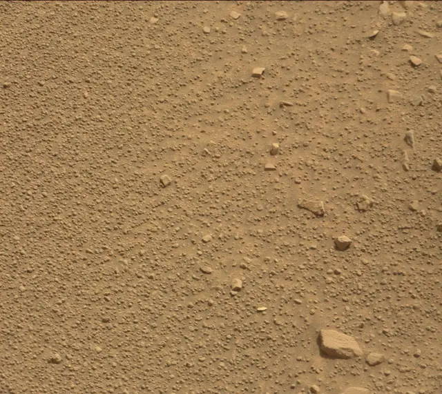 Sol 314: Mast Camera (Mastcam)