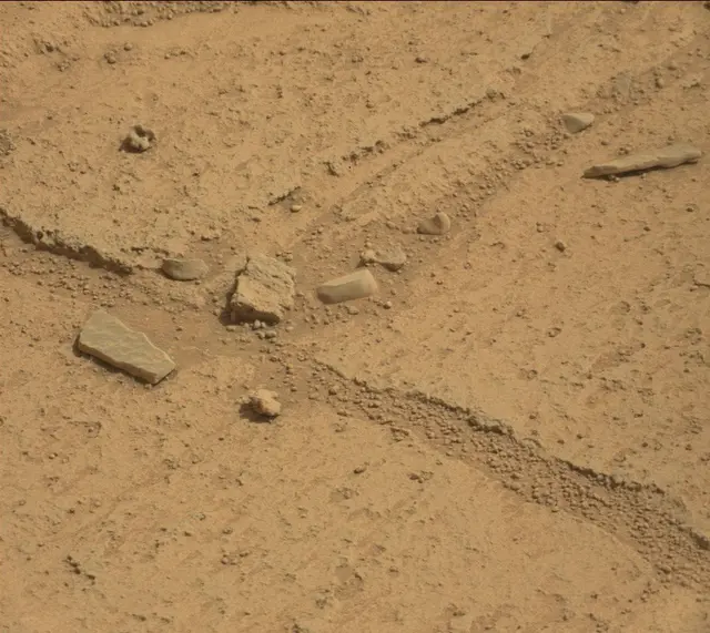 Sol 314: Mast Camera (Mastcam)