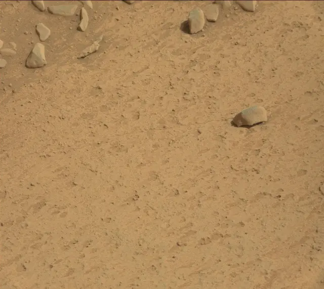 Sol 314: Mast Camera (Mastcam)