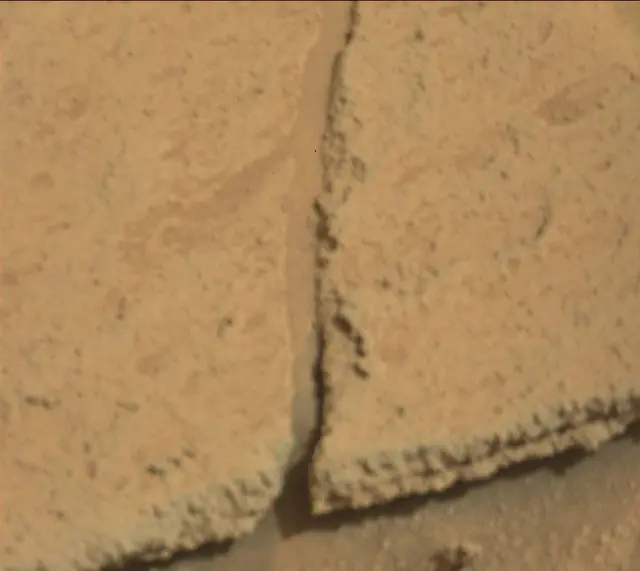 Sol 314: Mast Camera (Mastcam)