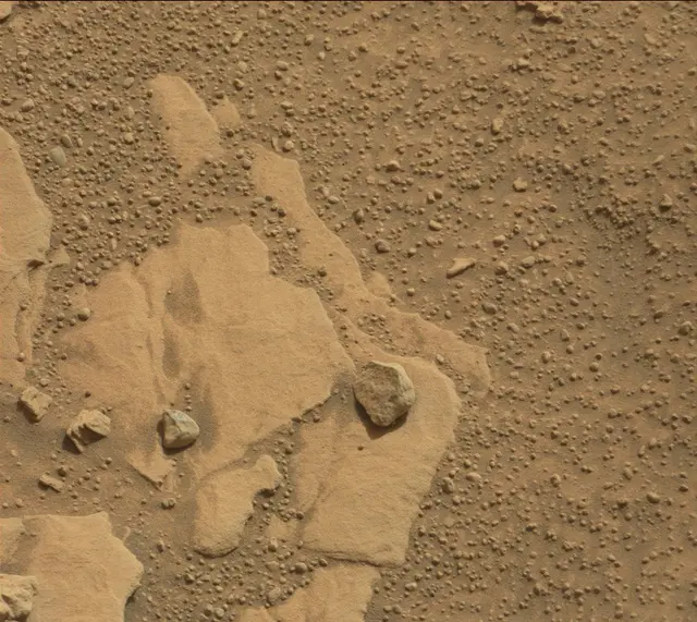Sol 314: Mast Camera (Mastcam)