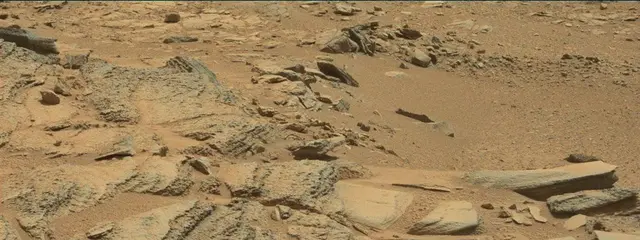 Sol 315: Mast Camera (Mastcam)