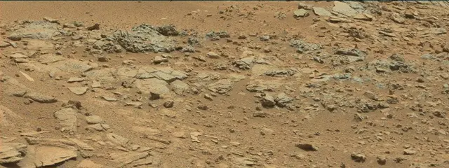 Sol 315: Mast Camera (Mastcam)