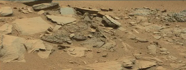 Sol 315: Mast Camera (Mastcam)