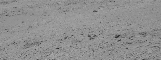 Sol 315: Mast Camera (Mastcam)
