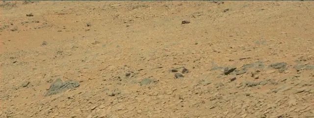 Sol 315: Mast Camera (Mastcam)