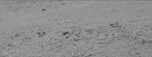 Sol 315: Mast Camera (Mastcam)