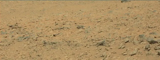 Sol 315: Mast Camera (Mastcam)