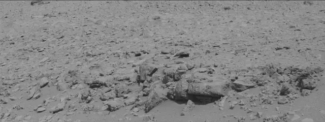 Sol 315: Mast Camera (Mastcam)
