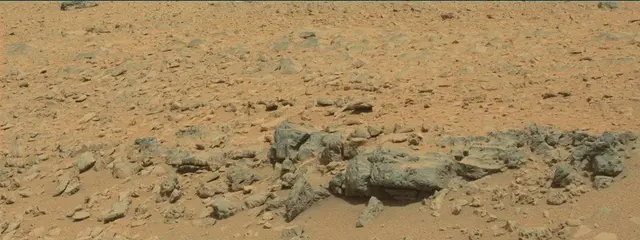 Sol 315: Mast Camera (Mastcam)