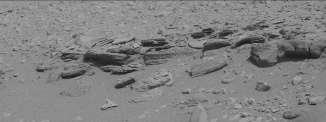 Sol 315: Mast Camera (Mastcam)
