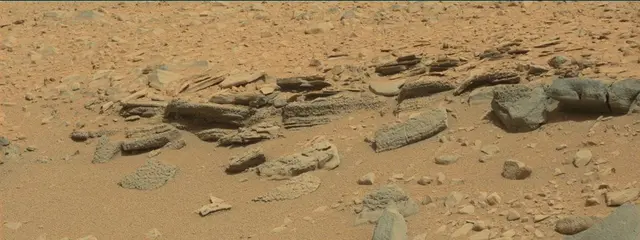 Sol 315: Mast Camera (Mastcam)