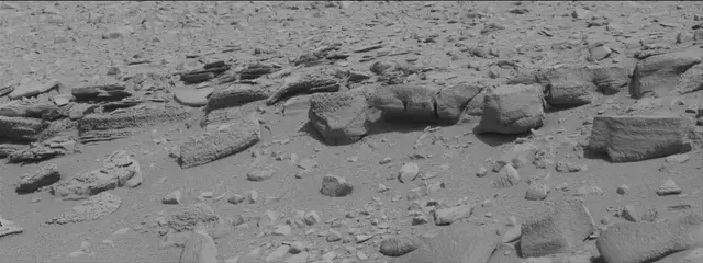 Sol 315: Mast Camera (Mastcam)
