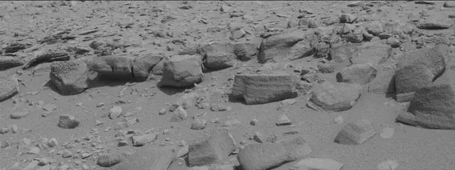 Sol 315: Mast Camera (Mastcam)