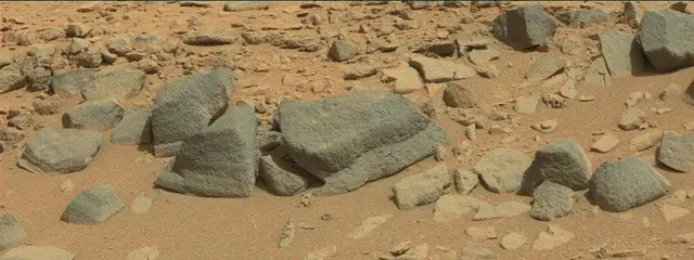 Sol 315: Mast Camera (Mastcam)