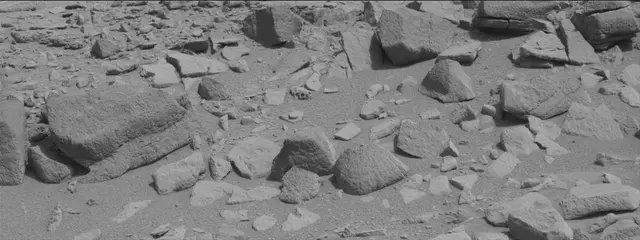 Sol 315: Mast Camera (Mastcam)
