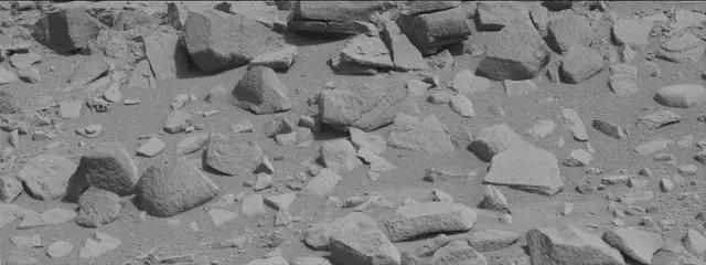 Sol 315: Mast Camera (Mastcam)