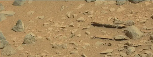 Sol 315: Mast Camera (Mastcam)