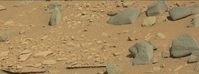 Sol 315: Mast Camera (Mastcam)
