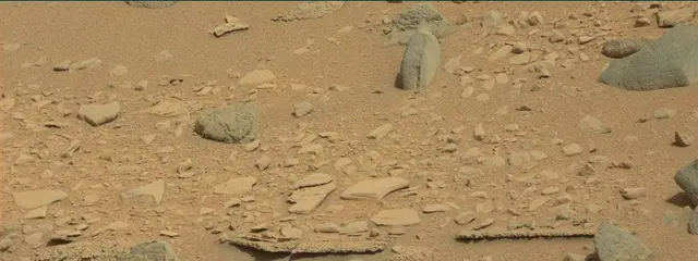 Sol 315: Mast Camera (Mastcam)