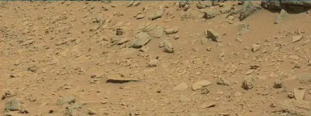 Sol 315: Mast Camera (Mastcam)
