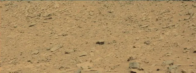 Sol 315: Mast Camera (Mastcam)