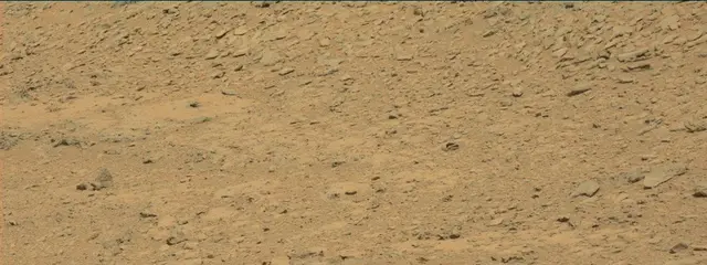 Sol 315: Mast Camera (Mastcam)
