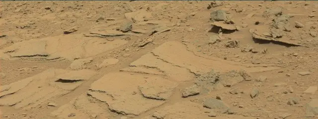 Sol 315: Mast Camera (Mastcam)
