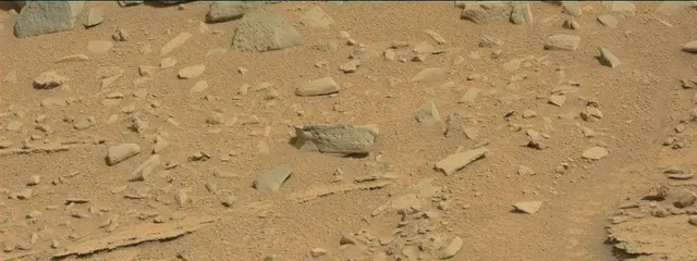 Sol 315: Mast Camera (Mastcam)