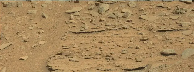 Sol 315: Mast Camera (Mastcam)