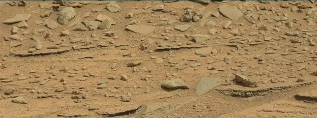 Sol 315: Mast Camera (Mastcam)