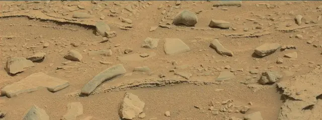 Sol 315: Mast Camera (Mastcam)