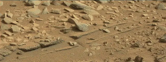 Sol 315: Mast Camera (Mastcam)