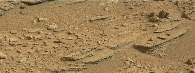 Sol 315: Mast Camera (Mastcam)
