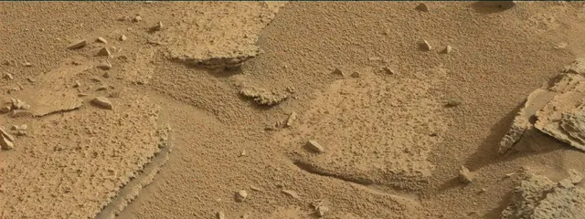 Sol 315: Mast Camera (Mastcam)
