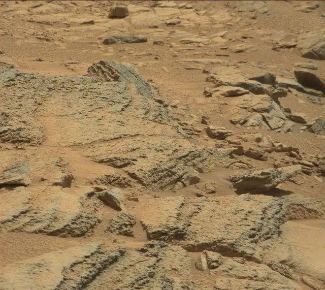 Sol 315: Mast Camera (Mastcam)