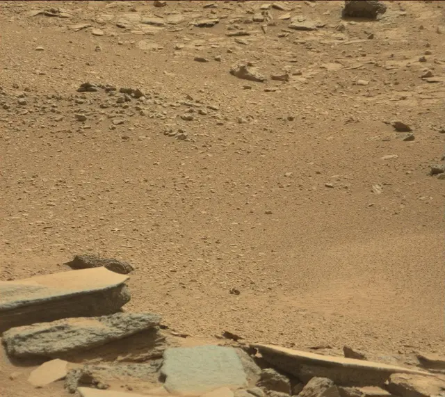 Sol 315: Mast Camera (Mastcam)
