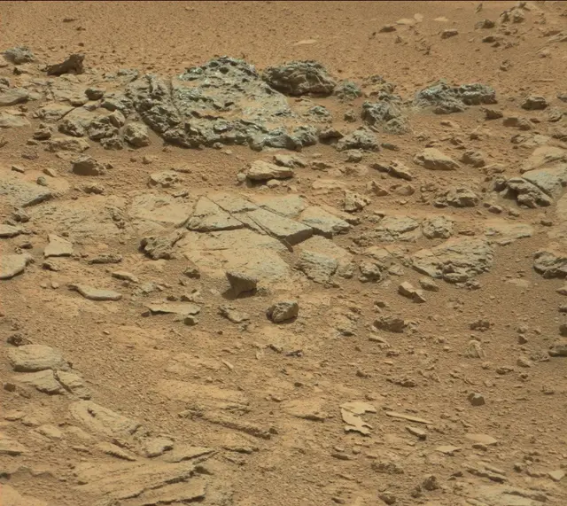 Sol 315: Mast Camera (Mastcam)