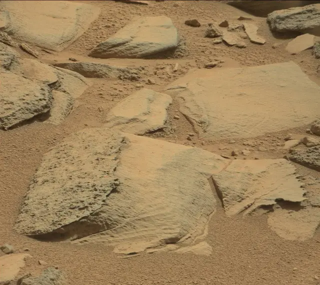 Sol 315: Mast Camera (Mastcam)
