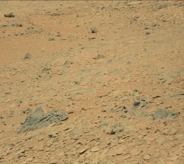 Sol 315: Mast Camera (Mastcam)